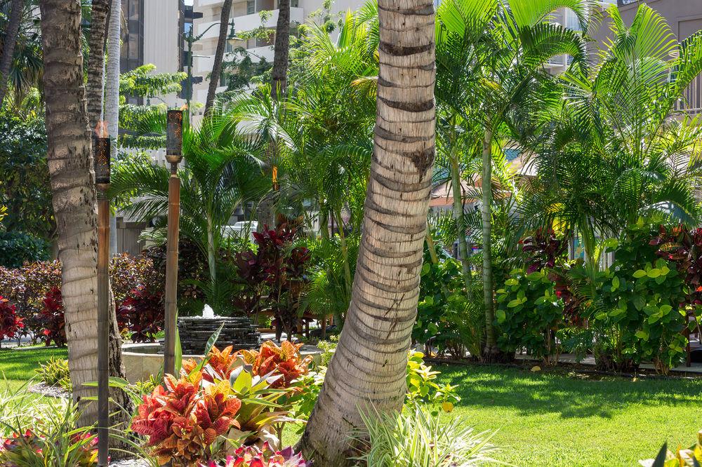 Courtyard By Marriott Waikiki Beach Honolulu Dış mekan fotoğraf